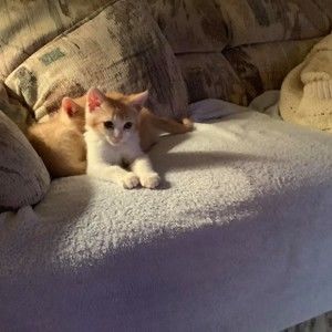 Meet your Posher, Christina